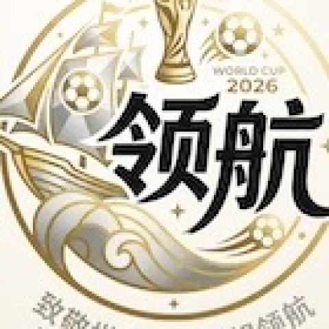 领航国际